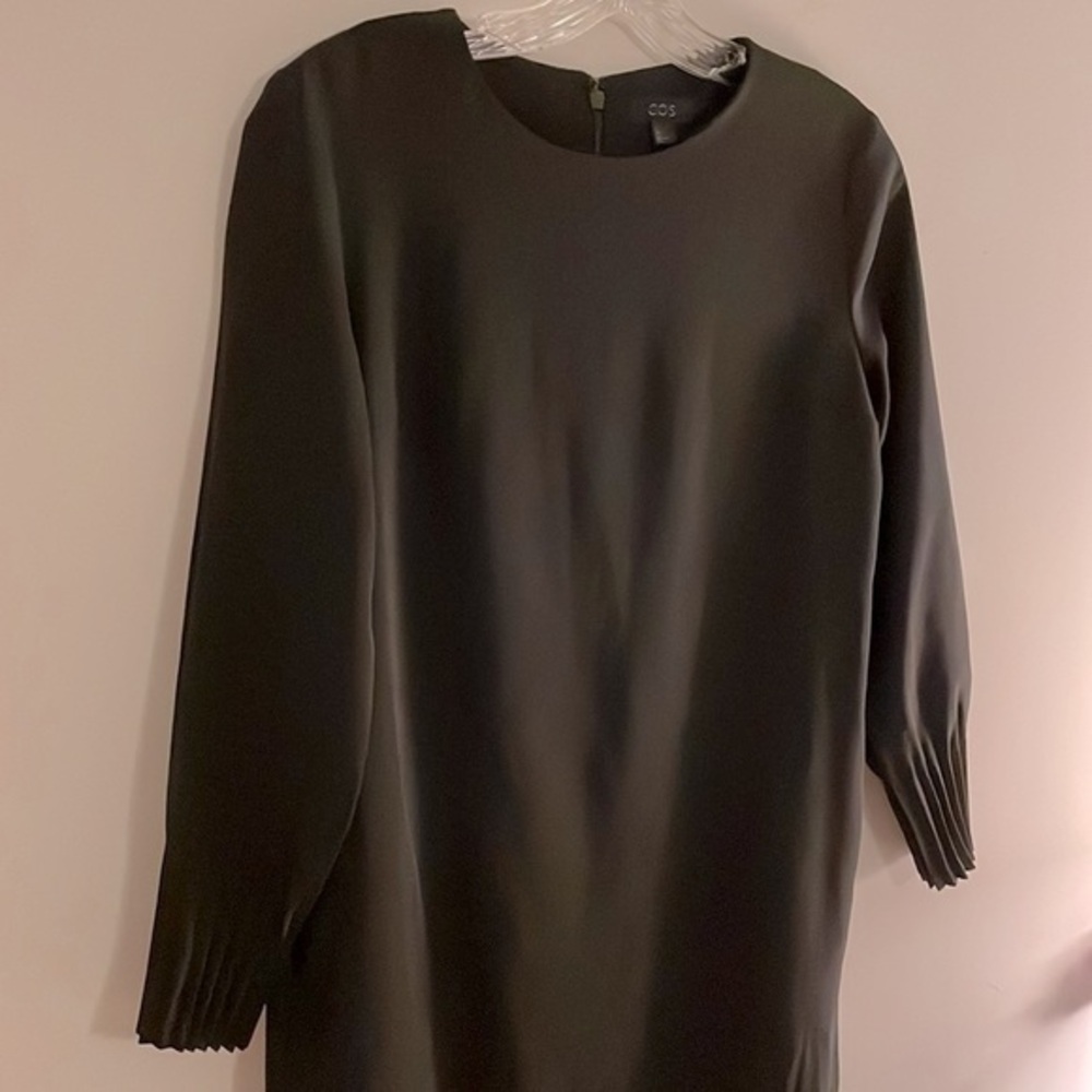 - COS Dress (copy)
